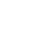 A1